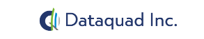 DATAQUAD IT SOLUTIONS PVT.LTD